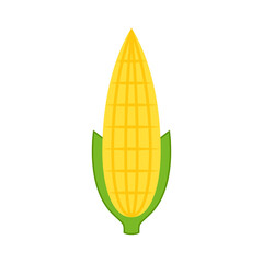 Corn icon on white background. Corn logo design.