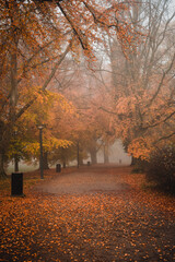 Fototapeta premium Photo of a path in park while foggy weather