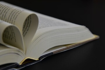 Concept for Book Lovers Day with selected focus