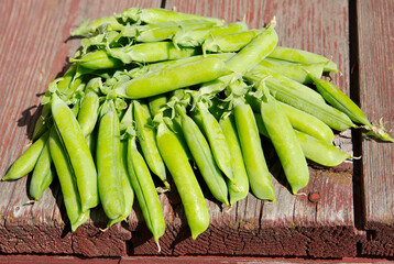 Fresh green pea.
 This legume culture contains a large amount of protein and fiber, Contains a large amount of vitamins and minerals.