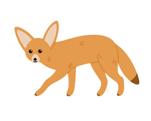 Hand-drawn fennec fox isolated on white background. Desert fox, desert animals. Cartoon animal character.