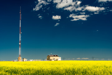 Tall communications antenna providing rural internet with a gas turbine pump station on a blooming yellow canola field in Rocky View County Alberta Canada.