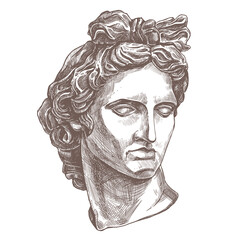 Apollo vector classical ancient gypsum sculpture. Antiquity head of greece god. Hand drawn sketch illustration in etching style, academic drawing