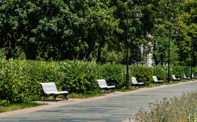 park bench in the park