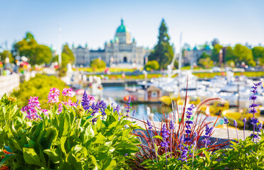 Victoria, British Columbia, Canada-blurred photo. Victoria Harbour and Parliament Buildings at...