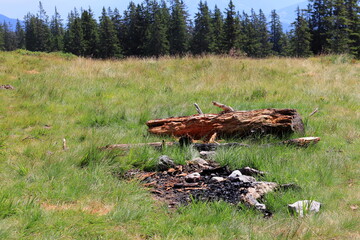 Fireplace in nature cause fires. Charred remains of wood. Fire hazard. Grass, forest, fireplace, wood.
