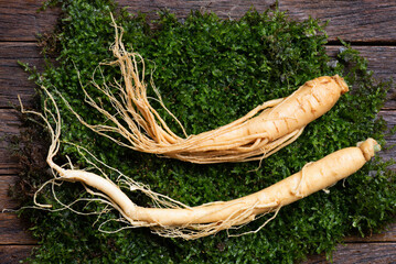 Ginseng or Panax ginseng root on moss background.top view.