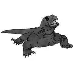 komodo illustration in pencil shading style