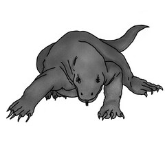 komodo illustration in pencil shading style