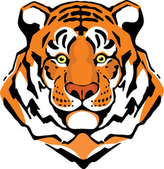 tiger head on a white background