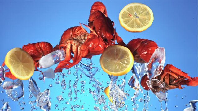Crayfish with lemon and ice fly up and fall down. On the blue screen. Filmed is slow motion 1000 fps.