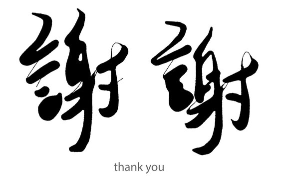 Hand drawn calligraphy of thank you word on white background