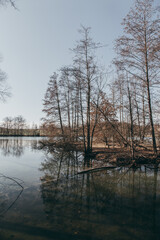 Mainau Landschaft