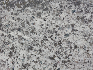 Stone Texture