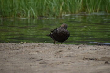 Parc Mauricie Lac Wapizagonke Chutes Waber 27 Juillet 2022