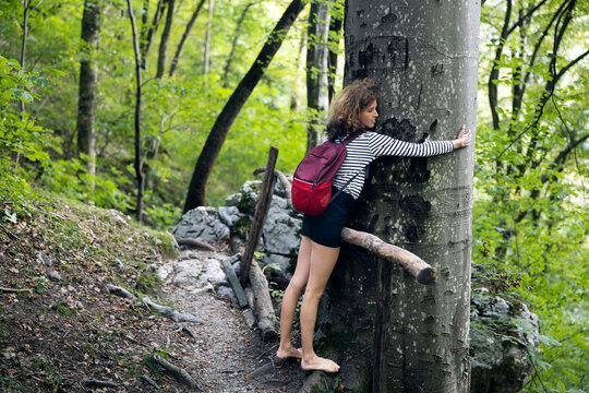 Woman on a Digital Detox Walk - Barefoot Hugging a Big Tree