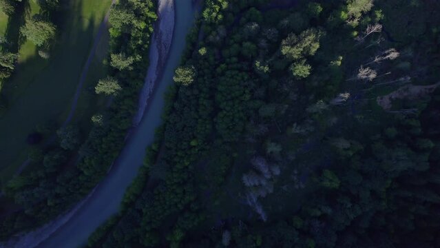 Aerial drone footage flying over a forest of evergreen trees in a valley durning sunset.