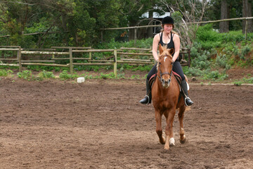 Horse Riding