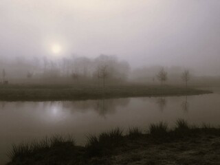 Fototapeta na wymiar Misty morning at the lake 