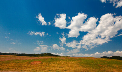 Fototapeta premium Views of Wind Cave National Park in Summer, South Dakota