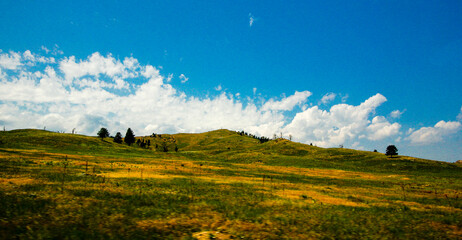 Obraz premium Views of Wind Cave National Park in Summer, South Dakota