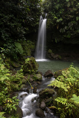 dominica waterfall