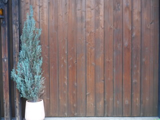 木目テクスチャー縦 〜Wood texture of vertical	