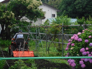 畑を耕す機械「トラクター」を操作　〜operate the cultivator