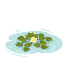 Pond Design Very Cool