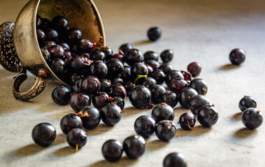 An overturned silver cup with blackcurrants on the table.