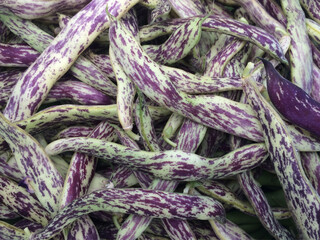 Dragon's Tongue Beans