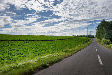 Fototapeta na wymiar A straight road that goes on forever in Hokkaido Japan