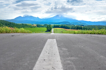 A straight road that goes on forever in Hokkaido Japan - obrazy, fototapety, plakaty