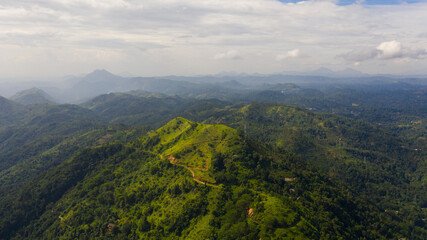 Obraz premium Mountain peaks covered with forest from above. Mountains covered rainforest, trees and blue sky with clouds. Sri Lanka.