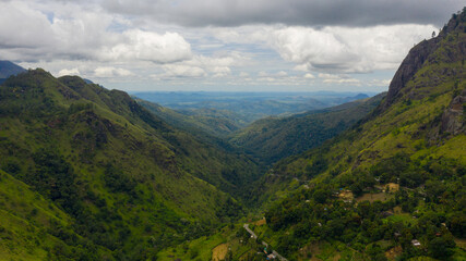 Naklejka premium Fresh green foliage, tropical plants and trees covers mountains and ravine. Ella Rock, Sri Lanka.