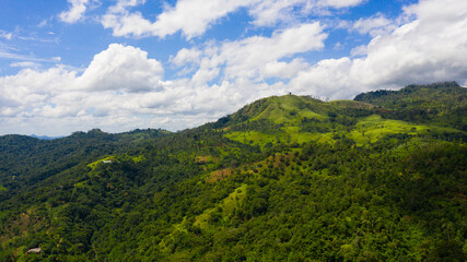 Obraz premium Mountain landscape: Mountain slopes covered with rainforest and jungle View from above.Sri Lanka.