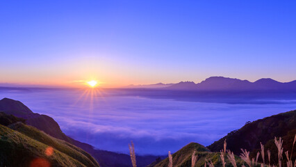 最高に美しい絶景自然風景(阿蘇山背景)
The most beautiful natural scenery (Mt. Aso...