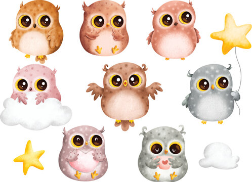 Watercolor Illustration set of Cute baby owl
