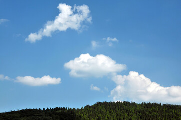 Obraz na płótnie Canvas field and blue sky