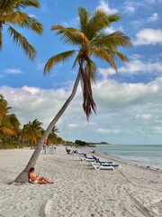 beach with coconut palm trees in Key West in Florida 