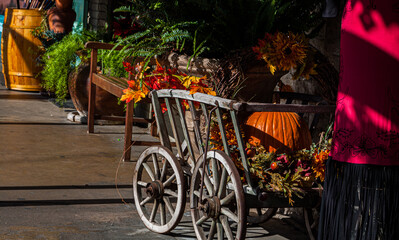 Small Wagon and Fall Color on The Sidewalk of Downtown, Fredericksburg, Texas, USA