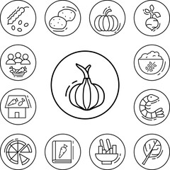 Onion, vegan icon in a collection with other items