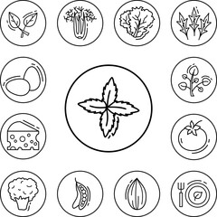 Red basil, vegan icon in a collection with other items
