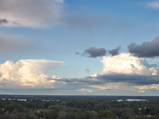 trees over the water