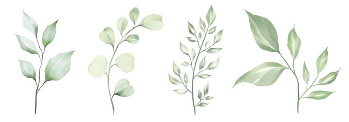 wheat ears  Watercolor green leaves collection. Set of lovely watercolor leaves and branches. Botanical illustration.