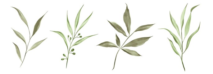 Watercolor green leaves collection. Set of lovely watercolor leaves and branches. Botanical illustration.