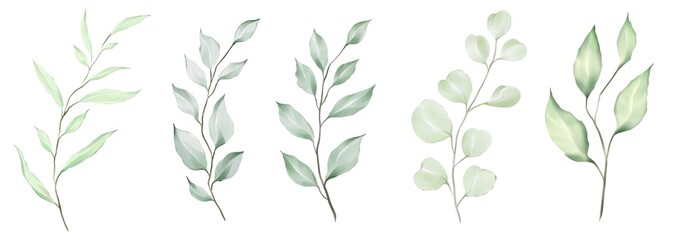 Naklejka na ściany i meble wheat ears Watercolor green leaves collection. Set of lovely watercolor leaves and branches. Botanical illustration.