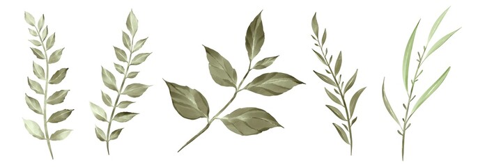 Watercolor green leaves collection. Set of lovely watercolor leaves and branches. Botanical illustration.