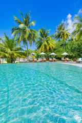 Fototapeta na wymiar Beautiful vertical beach pool panorama. Palm trees, beach chairs beds with infinity pool close to sea and horizon. Tranquil summer background, travel leisure recreational landscape. Tropical resort