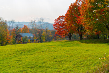 landscape of autumn farmland with woods in sunset light